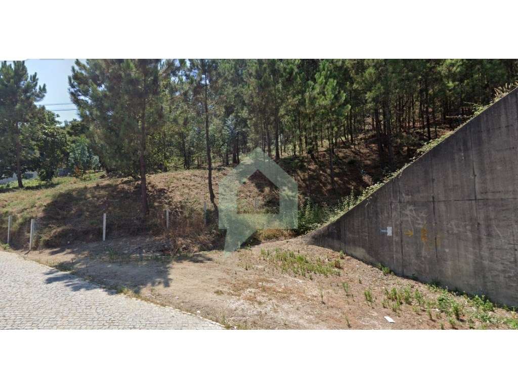 Terreno de pinhal em Carvalhal Barcelos - Grande imagem: 5/8