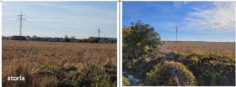 Teren intravilan 1 Decembrie, judetul Ilfov, ID: R2319723 - Imagine principală: 3/6