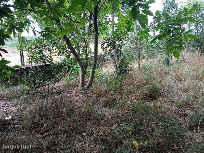 Terreno para venda - Grande imagem: 5/8