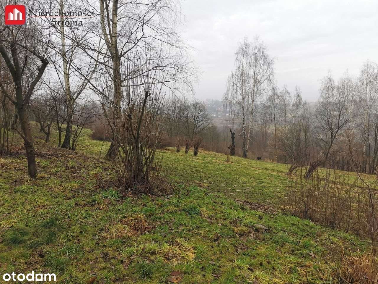 Działki budowlane- Golkowice (od 10a do 15a) - Pełny obrazek: 5/9