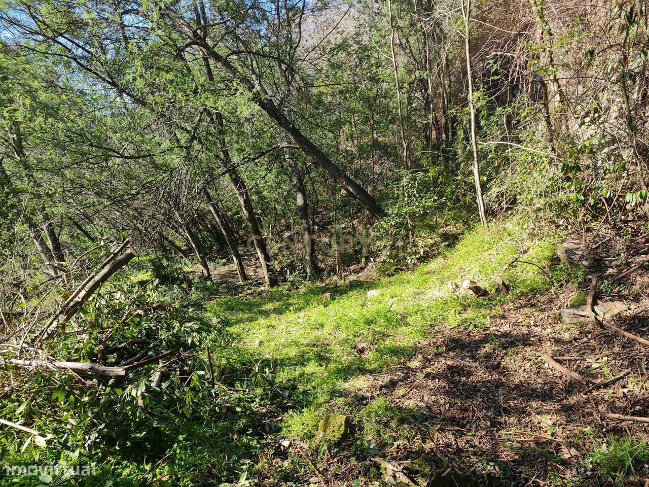 Quinta das Fontainhas, Rio de Moinhos, Penafiel-23
