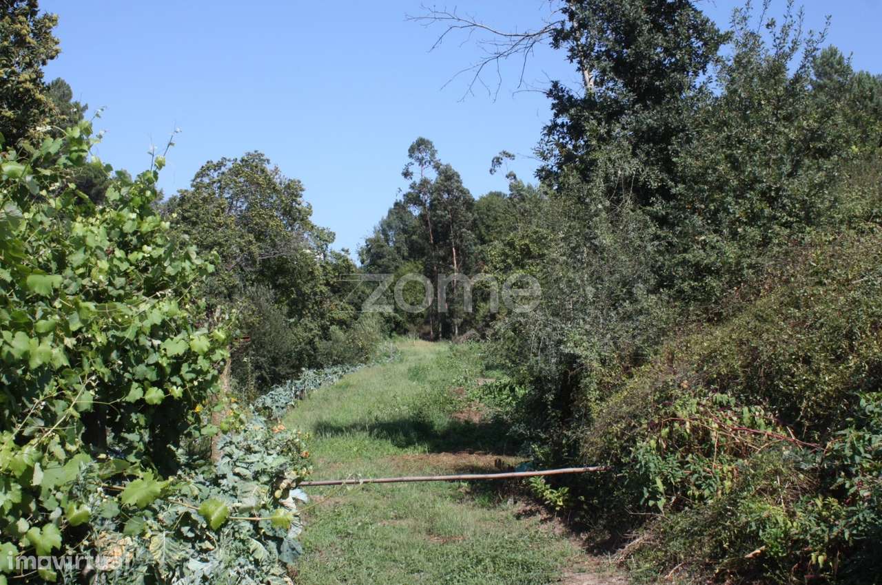 Terreno junto ao rio Pele - Grande imagem: 4/15