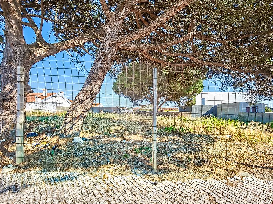 Terreno  para venda - Grande imagem: 3/5