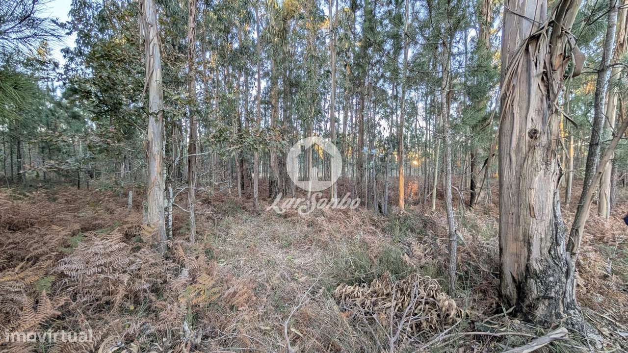 Terreno industrial com 4.177m2 em Laúndos - Grande imagem: 1/6