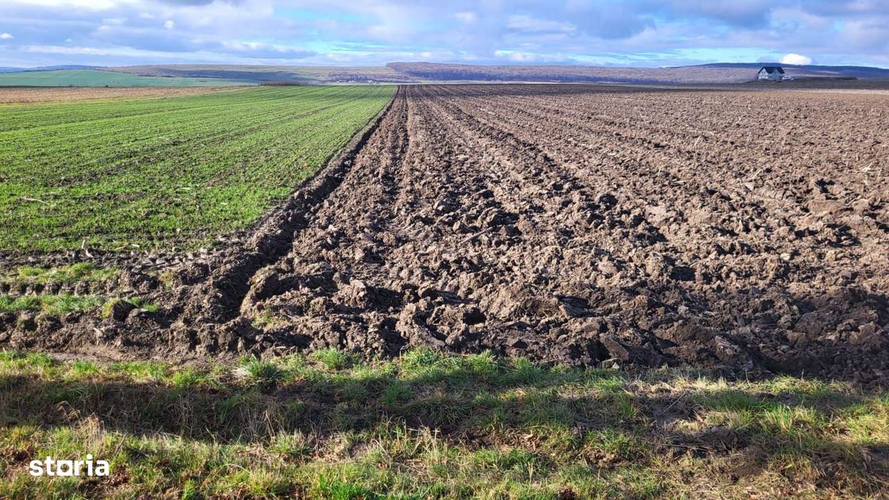 Teren 36 Ari | Mitocu Dragomirnei | 25.500 €-1