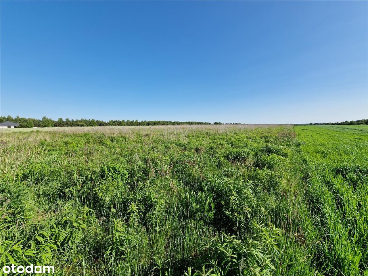 Atrakcyjna działka budowlana 1000m2 w Porosiukach#