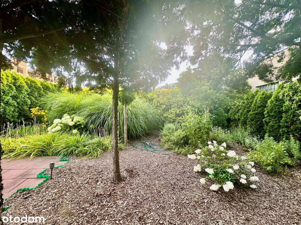 Na sprzedaż  ul. Przełęcz. Na każdym piętrze samodzielne mieszkanie. - Pełny obrazek: 3/17