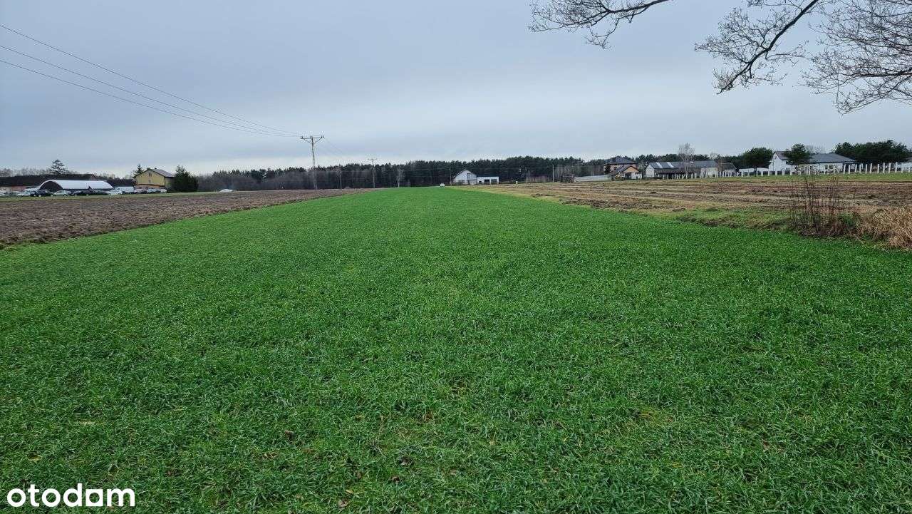 Działka budowlana 741m2, Trzcinka/gm.Poświętne