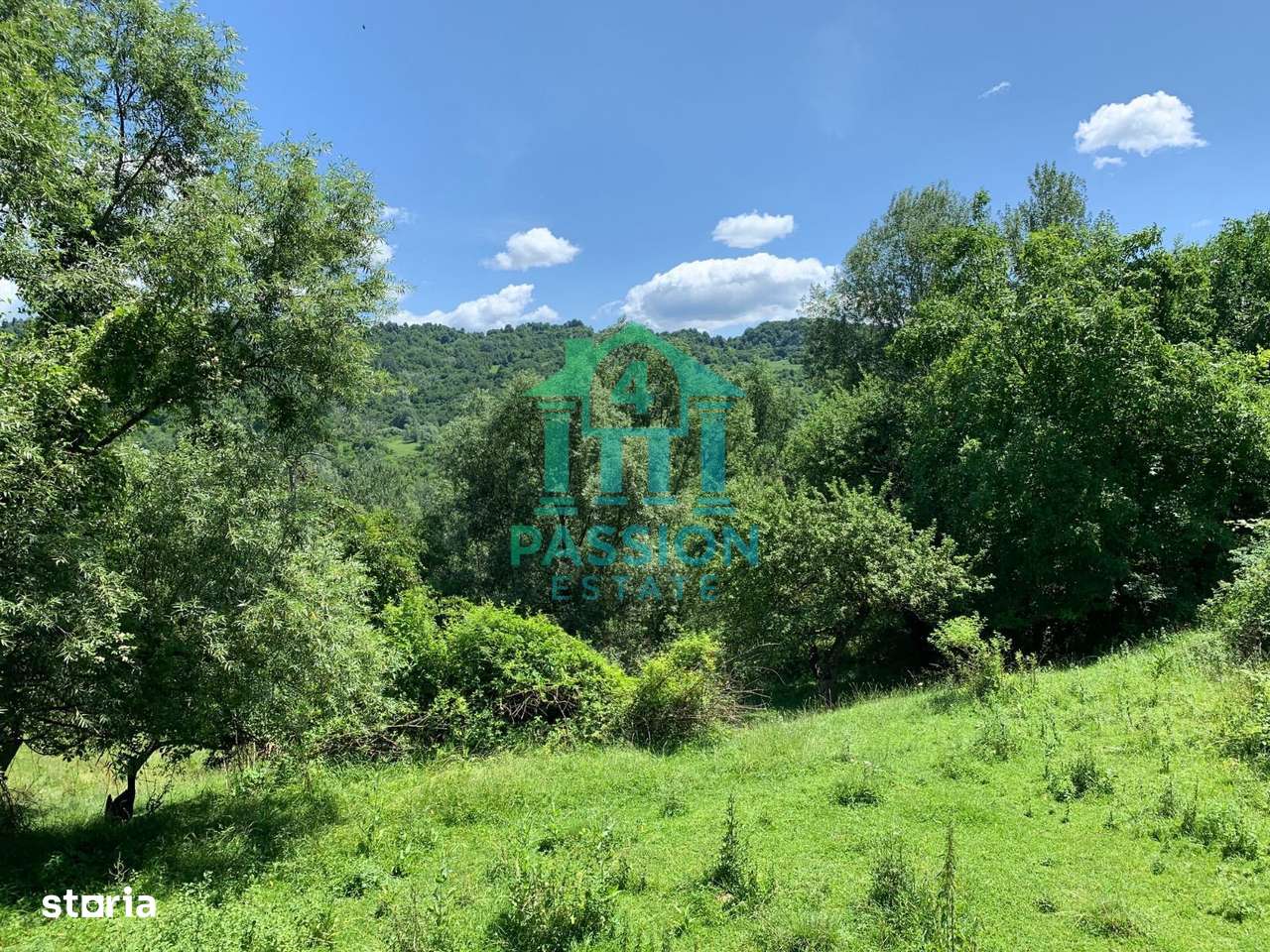 Teren cu Valoare Istorică în Breaza de Sus – 11.230 mp + 2 Locuințe-1