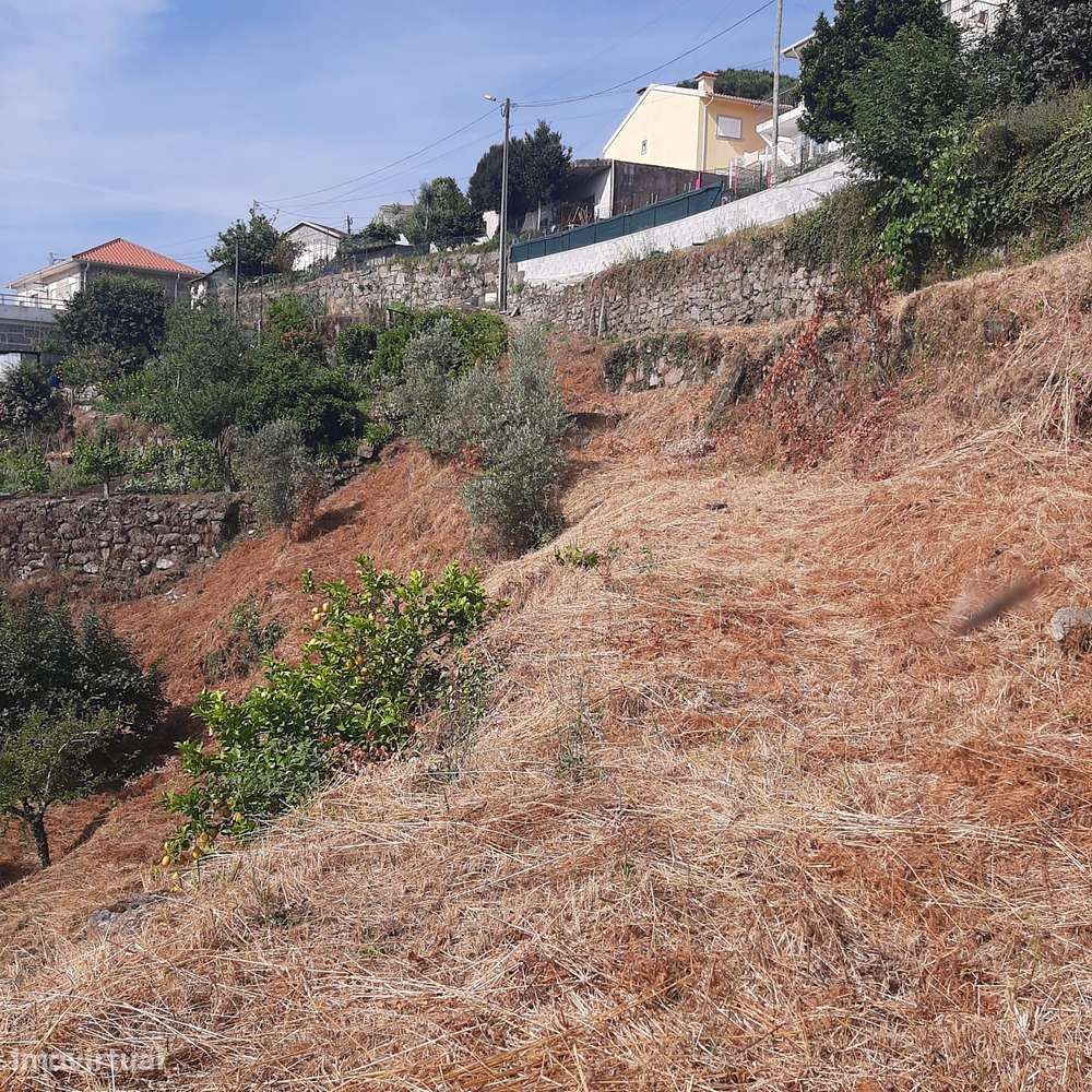 Casa em pedra para reconstruir Canelas Penafiel-23