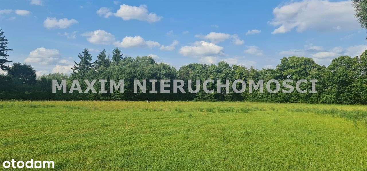 Piękny Teren 5 Ha Po Pałacu W Jarocinie K/Płońska - Pełny obrazek: 5/20