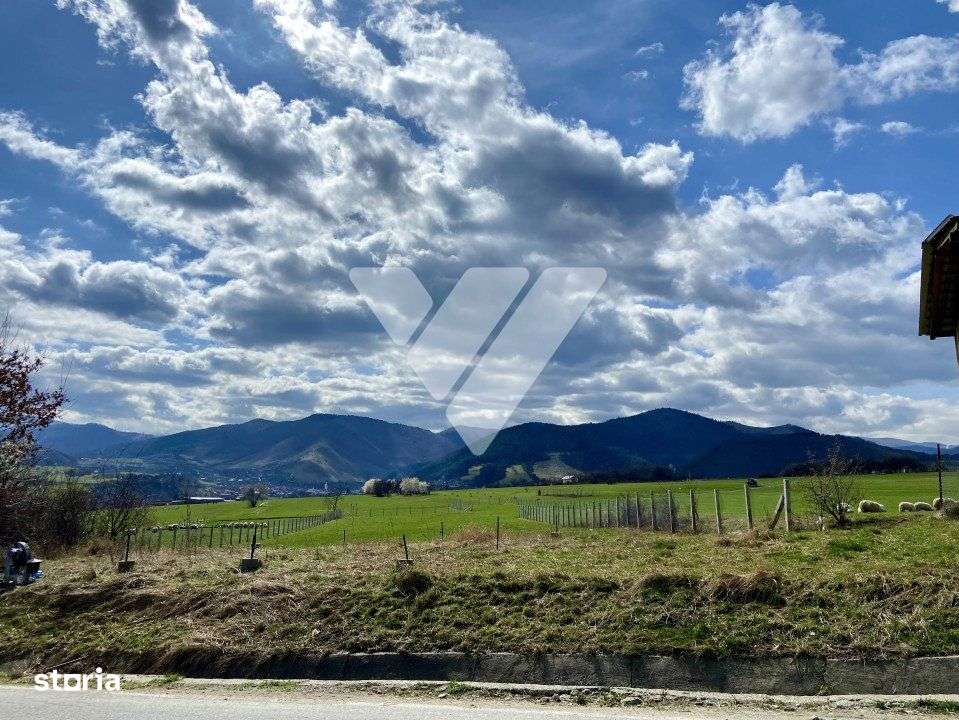 Teren Rasinari 3500 mp extravilan - Imagine principală: 2/5