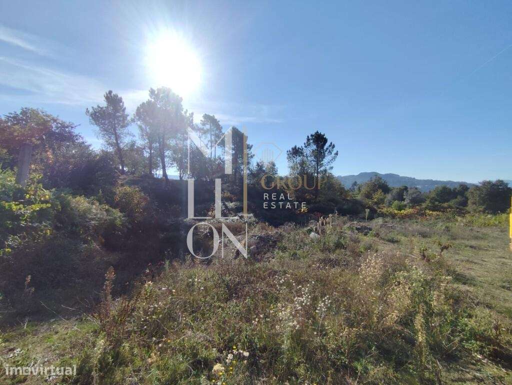 Terreno com 3.699M2, viabilidade de construção e venda em Arcos de Val - Grande imagem: 2/19