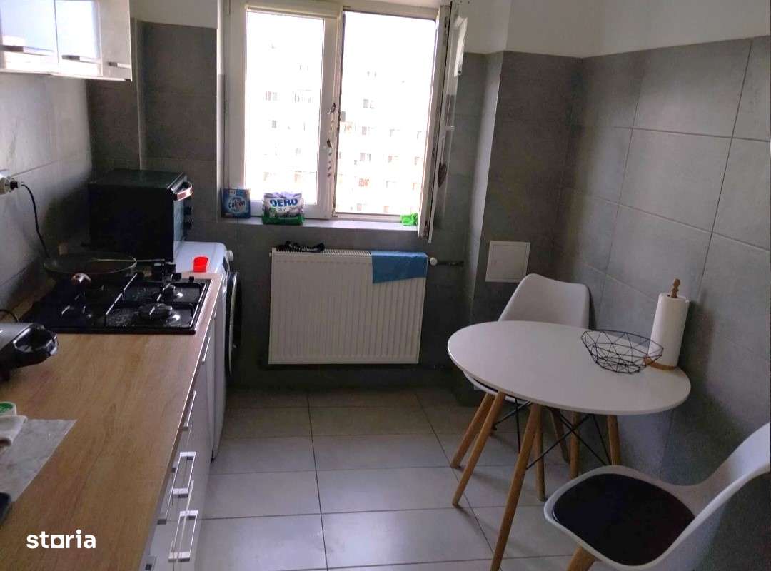 Baba Novac- Campia Libertatii, scoala Leonardo da Vinci-3