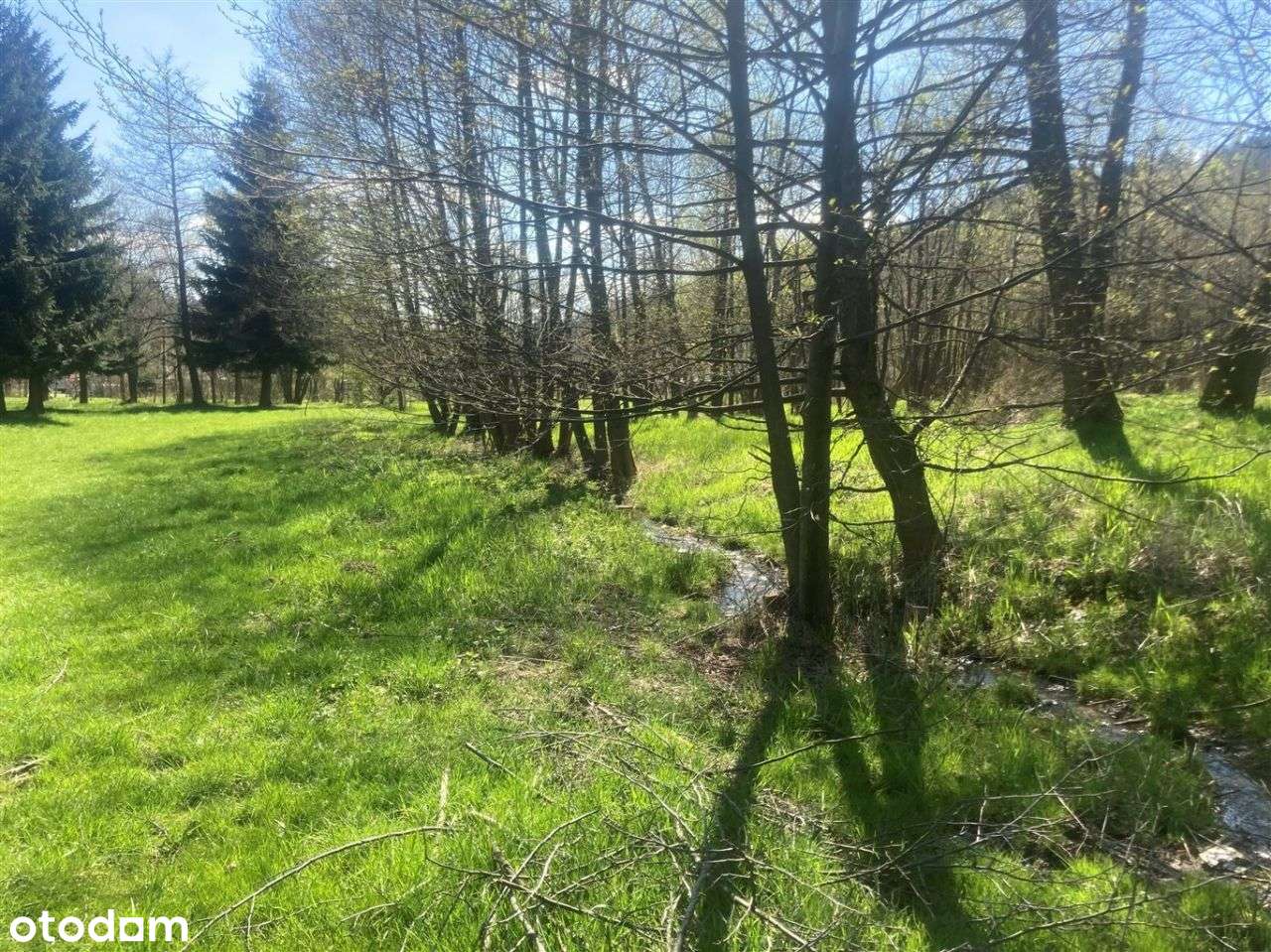 Biznes w górach-budynki do remontu - Pełny obrazek: 5/16