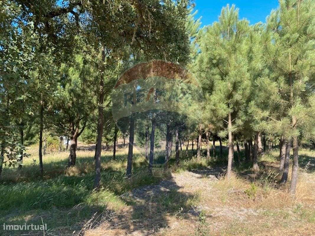 Terreno  para venda - Grande imagem: 5/6