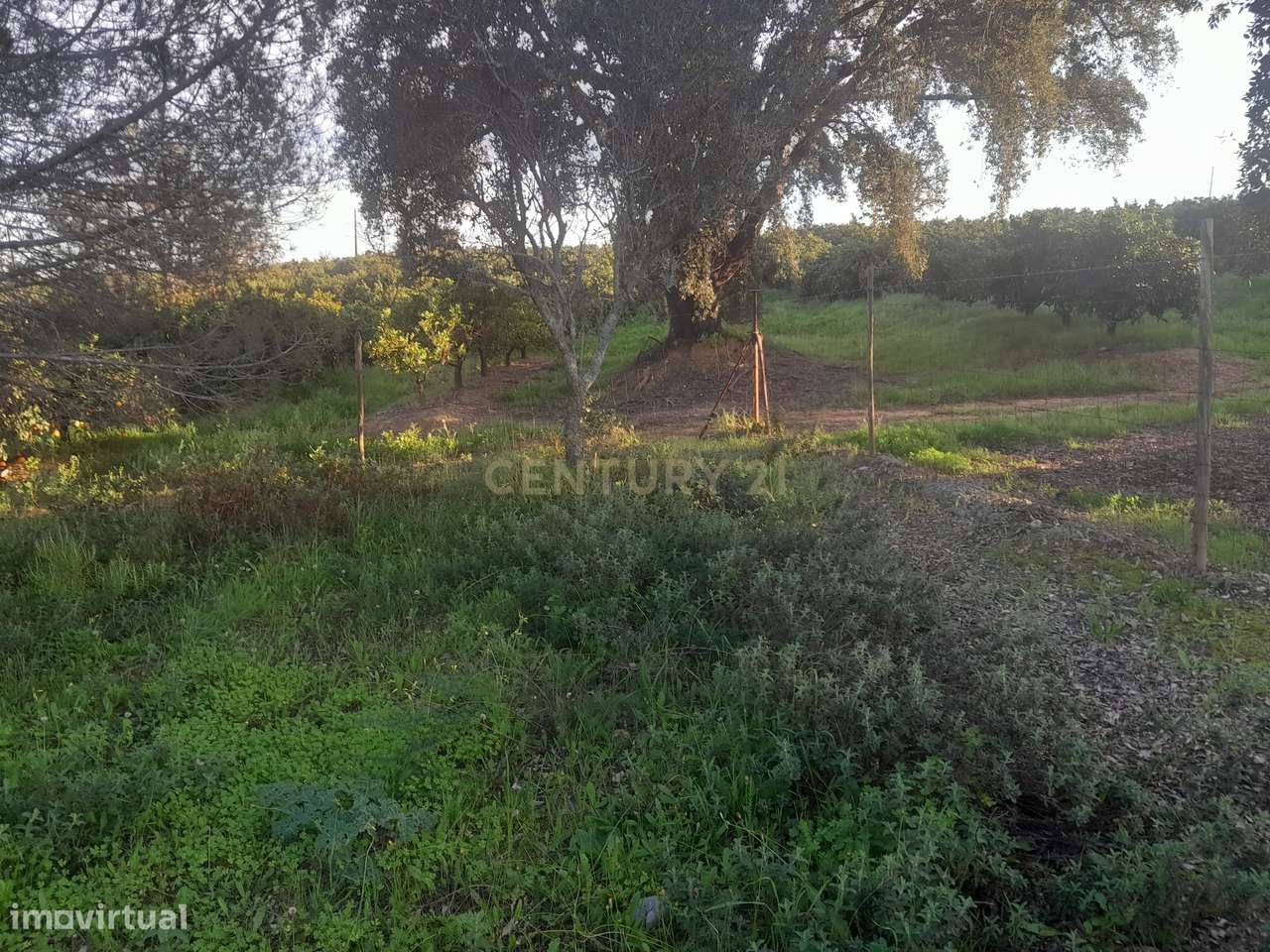 Terreno Zona Calma - Grande imagem: 2/21