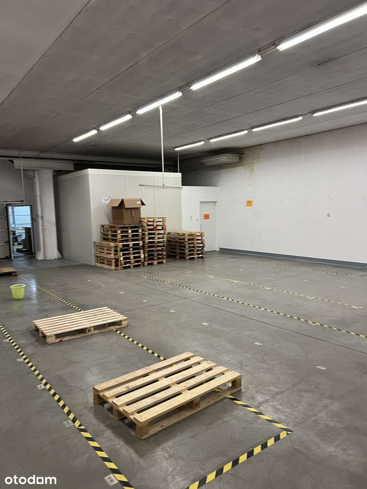 360 hala + powierzchnia biurowa - Pełny obrazek: 4/6