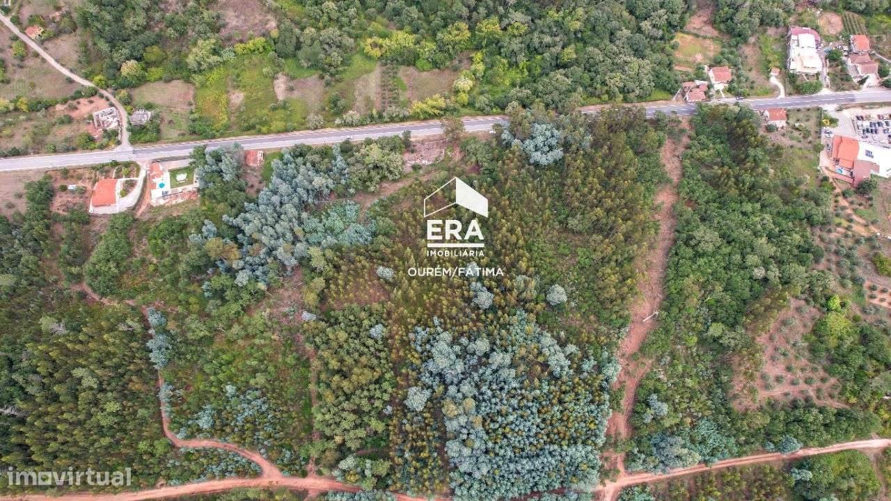 Terreno Rústico localizado em Maçãs de D. Maria - Grande imagem: 5/24