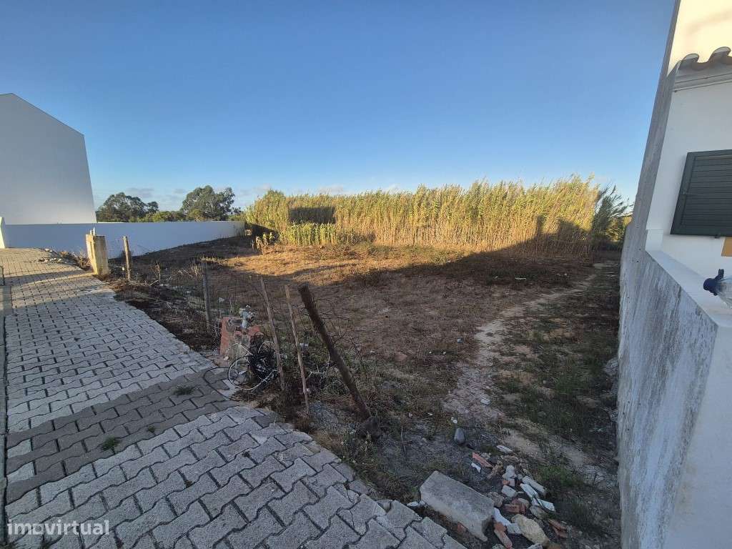 Lote no Almograve - Grande imagem: 5/16