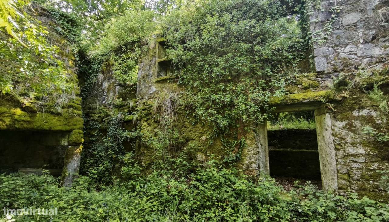 Venda de Quinta, Areosa, Viana do Castelo-9