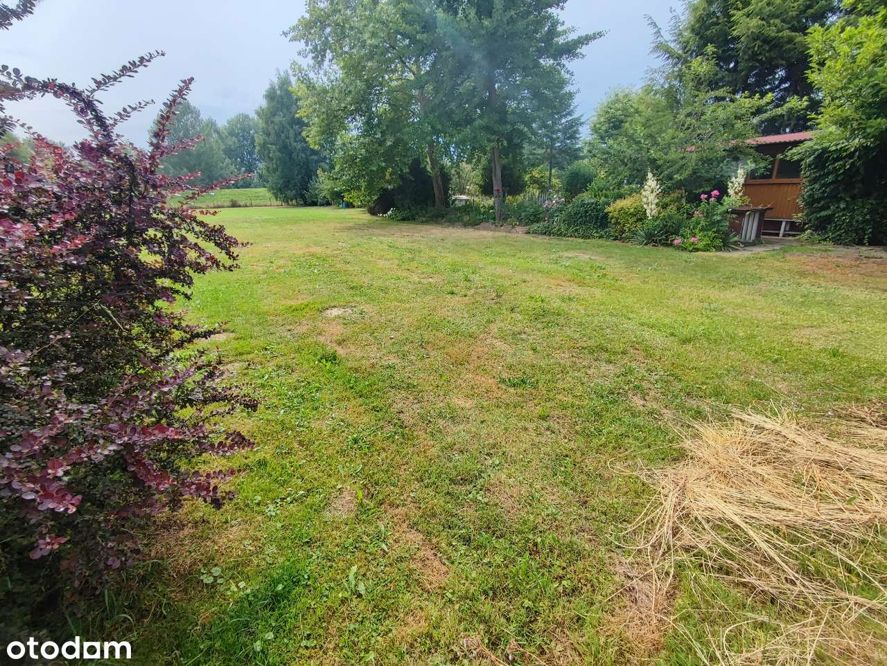 Działka budowlana w Tarnowie-Mościcach - Pełny obrazek: 5/6