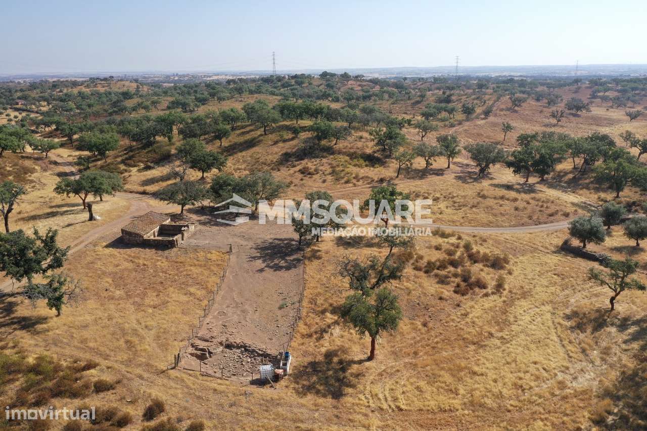 Monte do Chaparral — Ourique-25