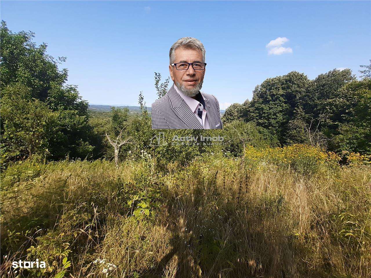 Resita Teren 5 500 Mp. Dr. Lupacului Peco Dusan - Imagine principală: 1/7