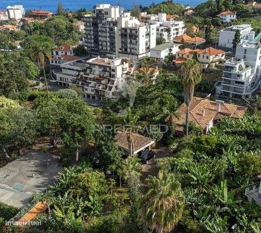 VENDO QUINTA T3 ESTILO MADEIRENSE NOS BARREIROS - Grande imagem: 2/2