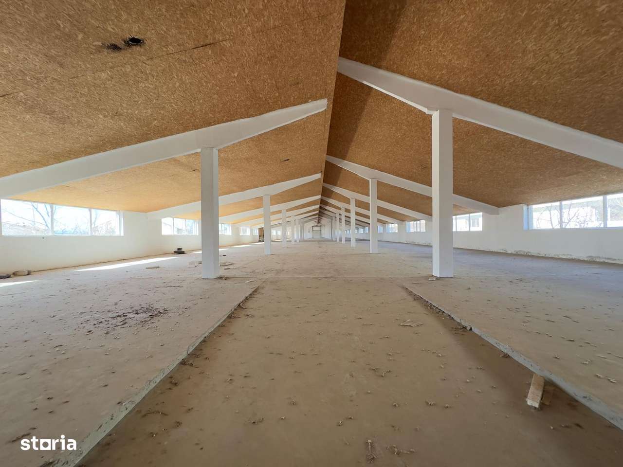Hala cu vad de la 100mp la 3510mp, platforma, Ciohorani - Simaro - Imagine principală: 3/6