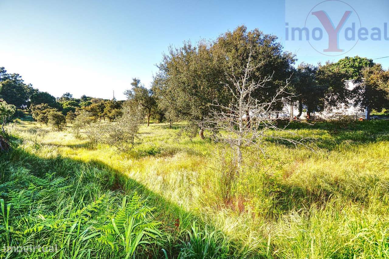 Quinta em Melides-25