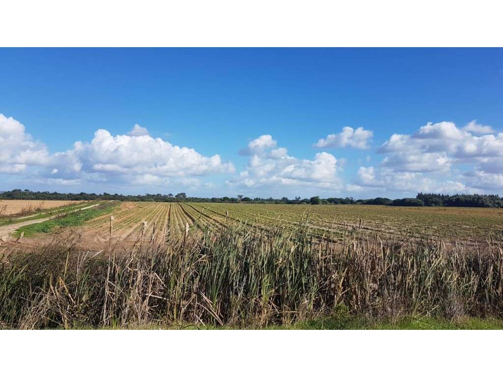 Terreno Almograve - Grande imagem: 2/3