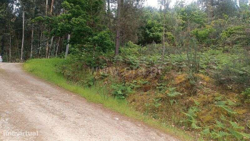 Terreno / Baião, Baião (Santa Leocádia) e Mesquinhata - Grande imagem: 5/20