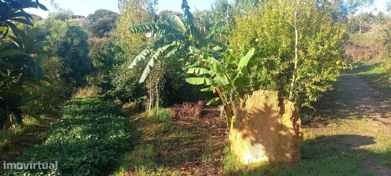 Terreno com Projeto Vivo de Permacultura e Potencial de Construção | P-20