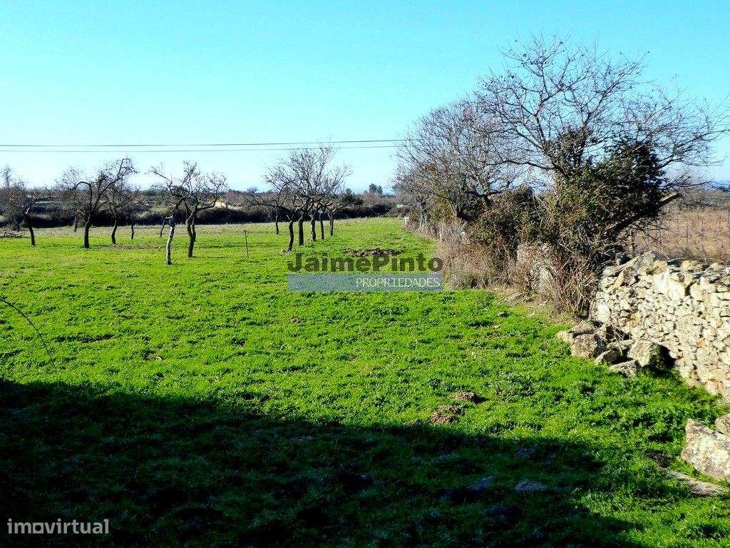 Casa de Campo em ruína em 15 000m2. Portugal, Guarda, F. C. Rodrigo - Grande imagem: 3/4