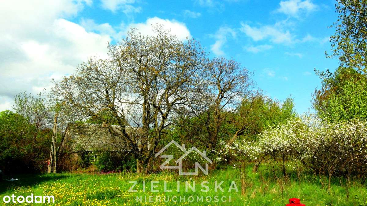 Grunty pod zabudowę lub fotowoltaikę – 10 ha,-5