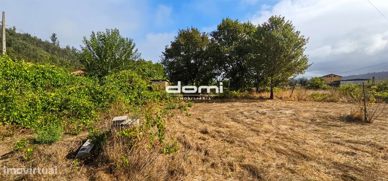 &#127807; Terreno Rústico com 2.000 m² – Várzea - São Pedro do Sul - Grande imagem: 5/8