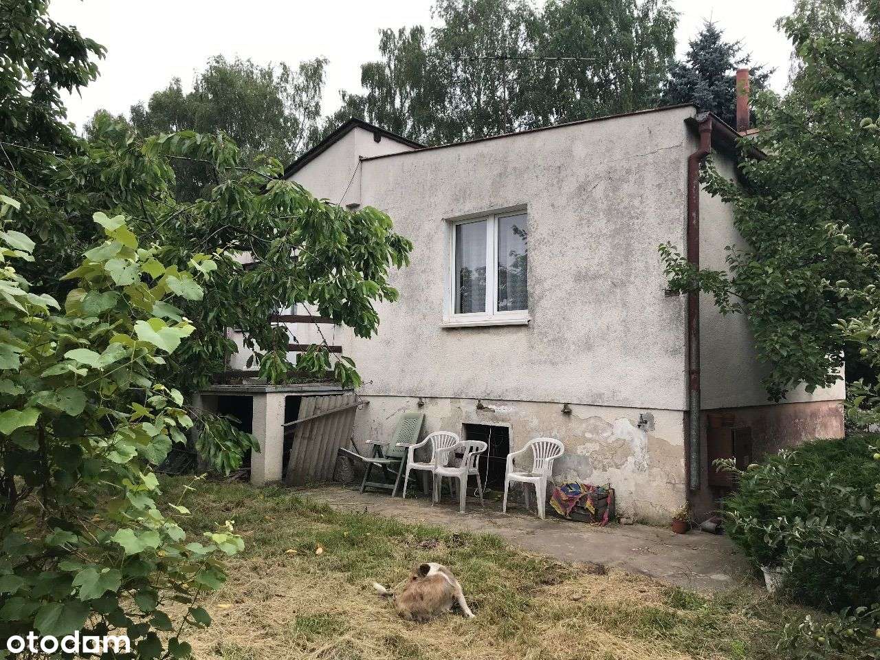 ROKIETNICA | dom do remontu/rozbudowy/rozbiórki-8