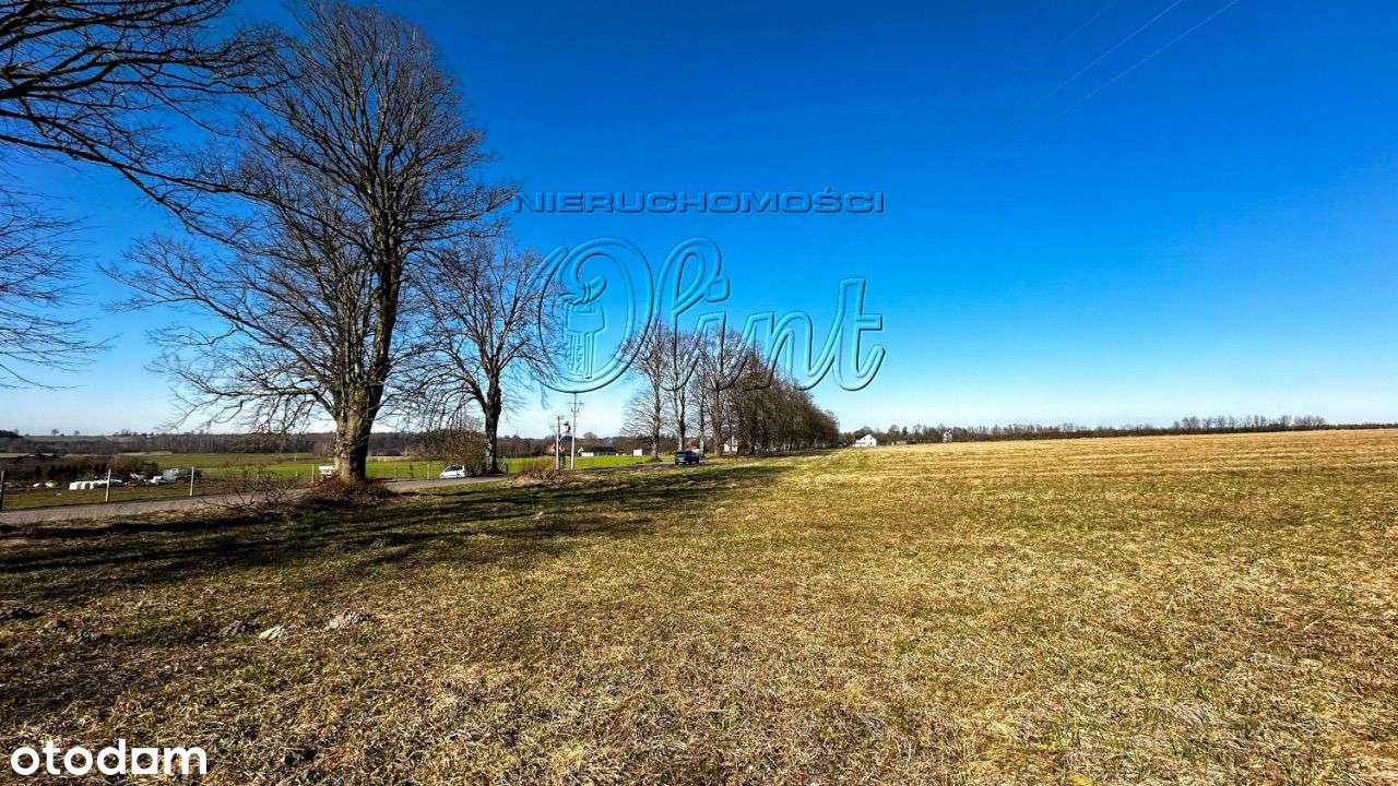 Wilkowo Nowowiejskie - działki rolne sprzedam - Pełny obrazek: 4/7