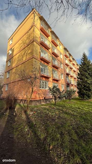 Kawalerka typu studio z balkonem z  pięknym widokiem na zieleń-7