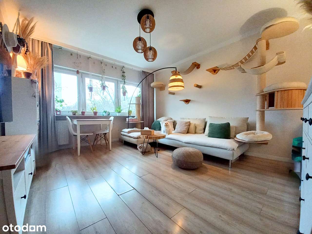 Jasne i wygodne, nowocześnie urządzone,  2 pokoje + piwnica-1