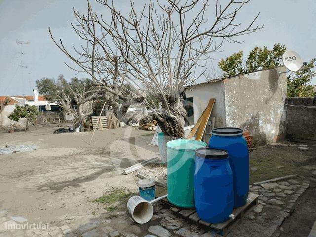 Moradia renovada com grande quintal - Perolivas-12