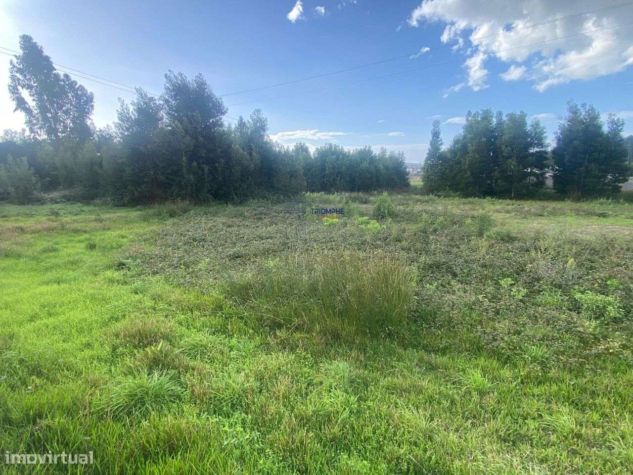 Terreno 3.486m² zona urbana Pataias - Grande imagem: 4/8