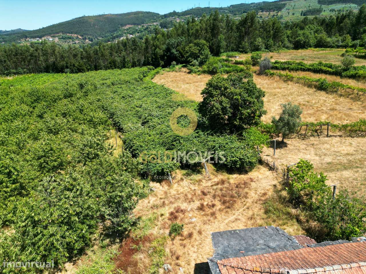 Quinta T4 Venda em Fornelos,Cinfães-10