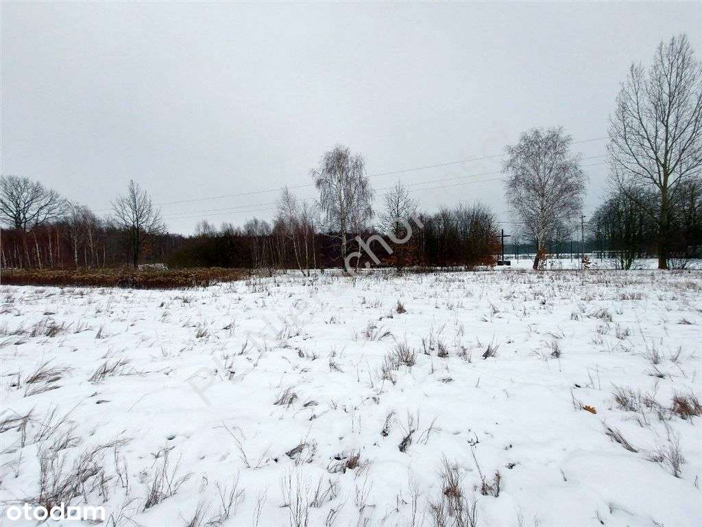 Warunki Zabudowy, Dojazd Asfaltem, Media.-7