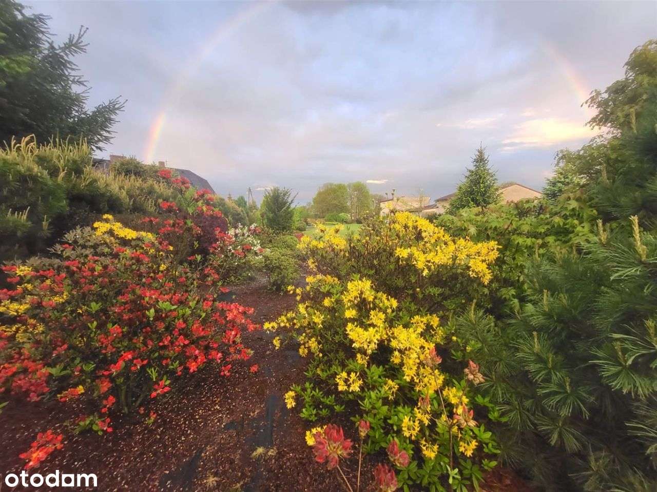 Działka Zbrosławice Księży Las, objęta Mpzp, - Pełny obrazek: 2/4