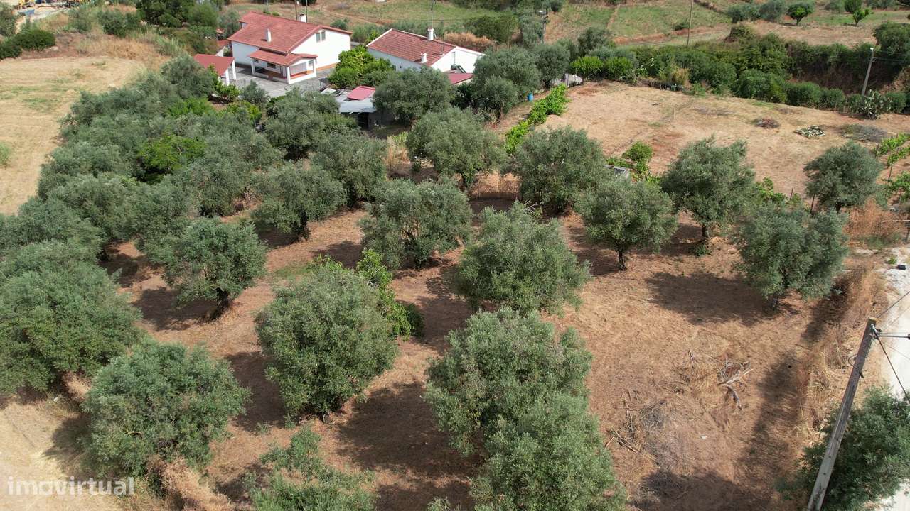 Terreno Para Construção  Venda em Santarém (Marvila), Santa Iria da Ri - Grande imagem: 4/14