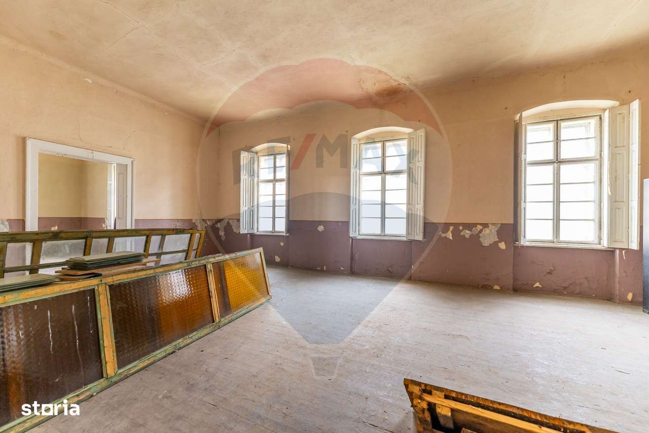 Conac aristocratic secolul XIX , domeniu  2,5 hectare — Păuliș, Arad-7