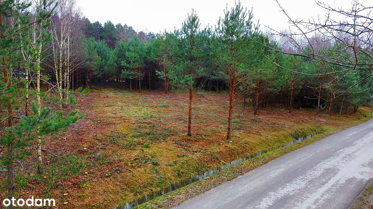 Działka budowlana | Radlin | Ogrodzenie-2