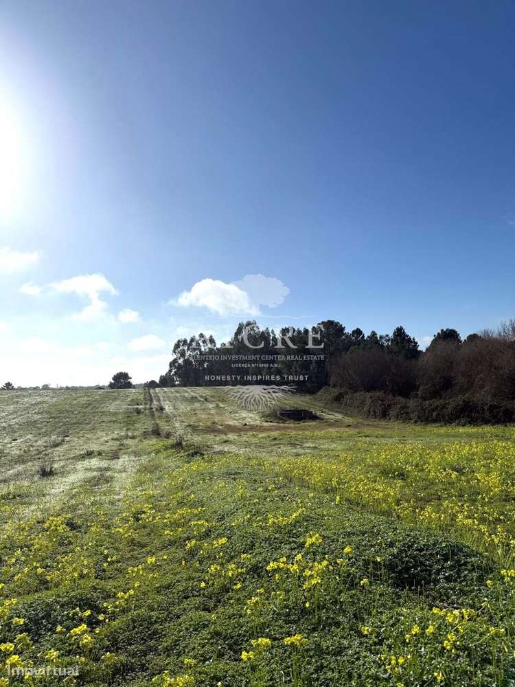 Excelente oportunidade de investimento em Canha – Montijo - Grande imagem: 4/24